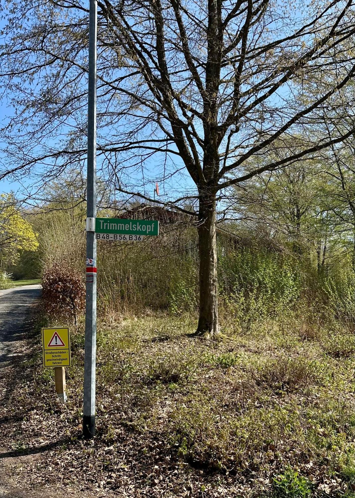 Natur Pur - Waldurlaub Im Tiny House Ronshausen Exterior foto